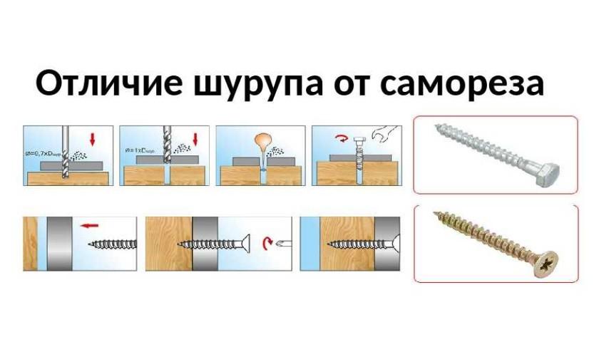 Чем отличаются саморезы от шурупов